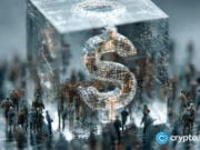 Stablecoins owe record market cap to regulatory tailwinds