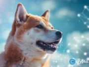 Dogecoin ETF from 21Shares listed on DTCC with the TDOG ticker