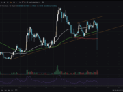 DOGE Price Breaks Key Support: Is Alt Run No More?