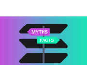 Did Solana process more transactions than all other blockchains last week?