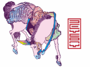 Live: Devcon5 Final Ticket Appeals