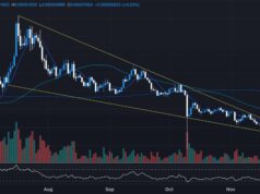 BONK Meme Coin Lands on Swiss TradFi Markets: Will ETP Boost BONK Price Prediction?