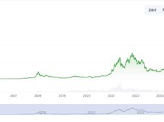 ZCash Bounces Hard: Will ZEC Crypto Be the Biggest Winner this Bear Market?