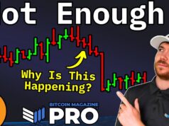 Bitcoin Price Slump Could Spark Next Bull Run