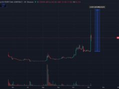 What is SOON Crypto? SOON Price Skyrockets +337% – Here’s Why and is $2 Locked In?