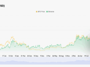 Analysts Call Solana Price Reversal: SOL USD Shoots High For $160