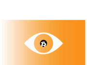 Bitcoin Core v30 could cause ‘catastrophic’ node shutdown, critics warn