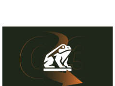 Bitcoin treasury Nakamoto down 98% — still pays David Bailey lavishly