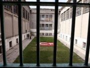 Who is Faruk Fatih Ozer? The Rise and Death of $2.6Bn Turkey Crypto Prodigy