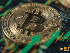 Bitcoin Price Surges As Analysts Say 4-Year Cycle Is Dead