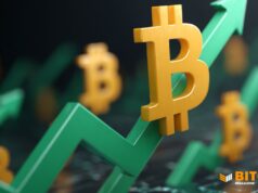 Bitcoin Price Skyrockets To $94,000 As Banks Start To Embrace Bitcoin Â