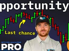 Bitcoin Treasury Companies Are Undervalued