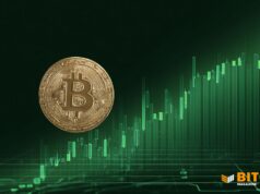 Despite Being Volatile, Bitcoin Is Looking Strong