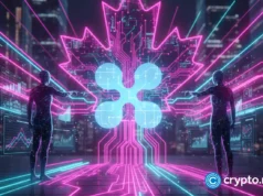 Canadian analysts project increased XRP adoption in fintech sector