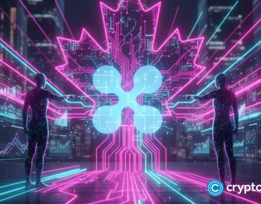 Canadian analysts project increased XRP adoption in fintech sector