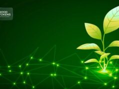 Good Tokens Broadens Adoption of Blockchain-Based Solutions for Global Good