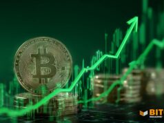 Bitcoin Holds $92,000 As Analysts See Market Bottom