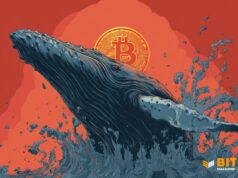 Bitcoin Whales Keep Buying, 100+ BTC Holders Hit New Highs