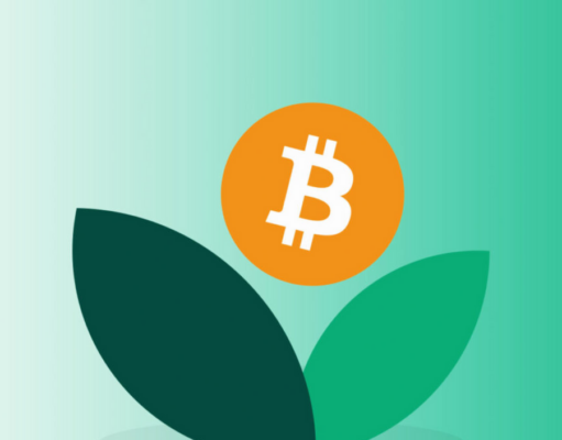 David Bailey’s Nakamoto exceeded 23X mNAV, 11X higher than MSTR