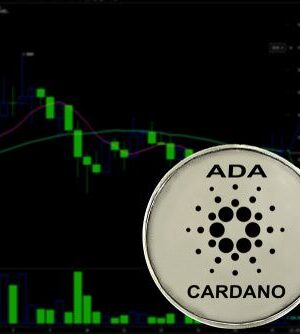 Cardano_page__source_-__Stanslavs_Shutterstock.com_-1.jpg