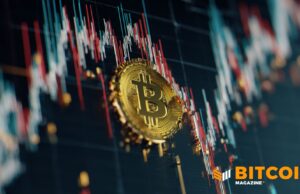 BlockFills Suspends Client Functions As Crypto Slumps