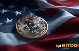 Federal Reserve Governor Shrugs Off Bitcoin Volatility
