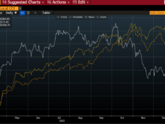 Bitcoin Price Crash – Is it All Donald Trump’s Fault?