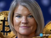 US Senator Lummis Says Banks Should Adopt Digital Assets, Not Resist Them