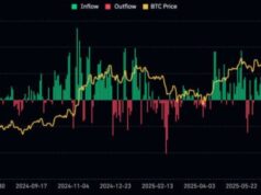 Wall Street Drops $562M on Bitcoin While ETH and XRP Sit Out