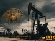 Bitcoin Price Teeters Near $69,000 Despite Market Volatility