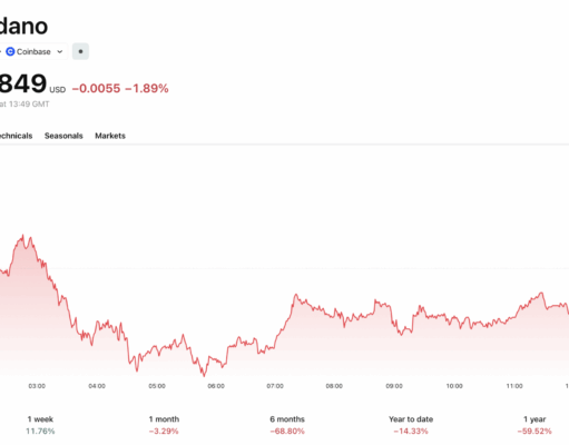 Hyperliquid Closes in on Cardano: Is HYPE Price On Verge of Pump to $50?