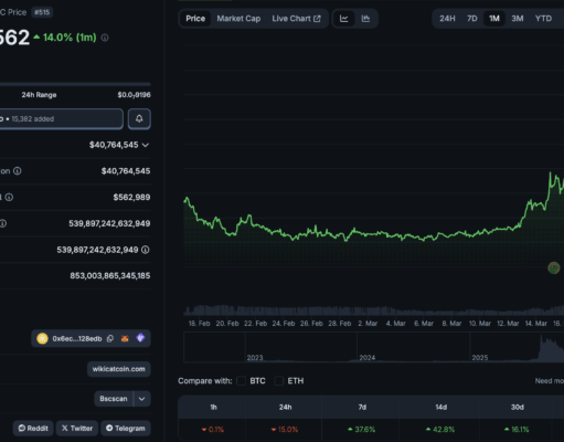What is WKC Crypto? WIKICAT Price Correction on BSC After +40% Pump