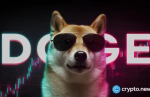 Secure DOGEBALL now, the best crypto presale to invest in 2026 before the SOL-style run