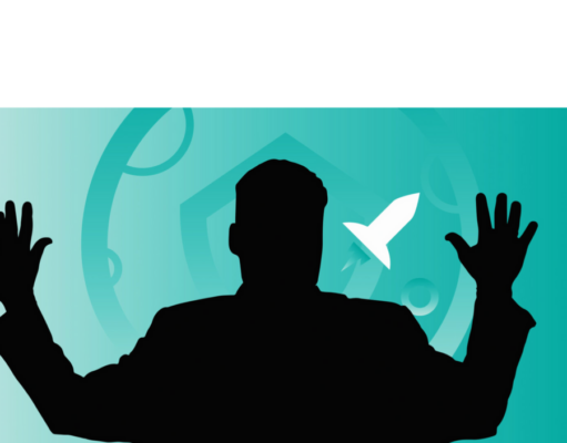 EXCLUSIVE: SafeMoon liquidity spending ‘good business,’ says defense