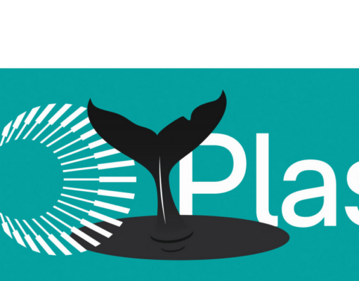 Whales dominate Plasma launch