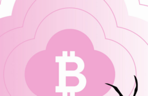 DeFi karma: Garden hacked for $11M after bridging Lazarus’ loot