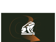 Bitcoin treasury Nakamoto down 98% — still pays David Bailey lavishly