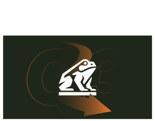 Bitcoin treasury Nakamoto down 98% — still pays David Bailey lavishly