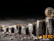 Bitcoin Moves Past Halfway Point In Halving Cycle As Supply Tightens Toward 2028