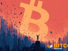 This Analyst Thinks Bitcoin’s 50% Crash Was A ‘Victory’