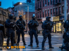 Samourai Letter #6: Two Years In