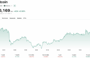 Michael Saylor vs. Peter Schiff: Is the MicroStrategy Bitcoin Bet at Risk?