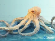 Kraken co-CEO confirms confidential IPO filing at global economy summit