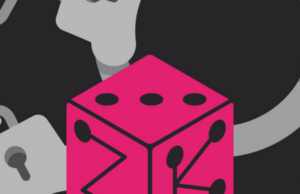 ZKasino rug pull suspect arrested in United Arab Emirates