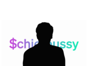 Former Mt Gox CEO’s cat memecoin has already crashed 90%