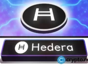 Hedera-based BrandBoost targets gamified loyalty programs for enterprises