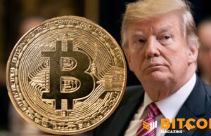 The Trump Family Trust Bought Bitcoin-Linked Stocks In First Quarter: Filing