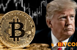 Trump Media (DJT) Moves To Sell Bitcoin As Losses Reach $455 Million