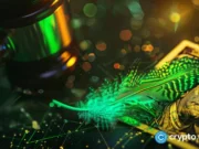 Robinhood crypto COO Tanya Denisova exits