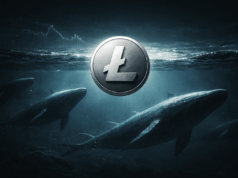 Litecoin Whale Activity Spikes To 5-Week High: Reversal Or Continuation Signal?